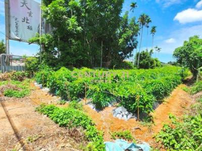 猴探井段, Nantou City, Nantou County 540, Taiwan