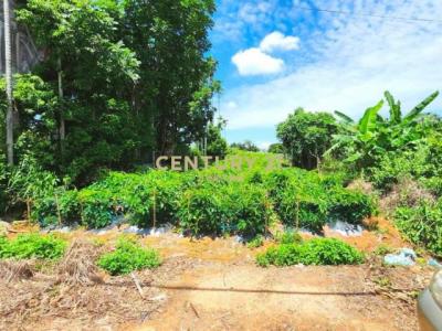 猴探井段, Nantou City, Nantou County 540, Taiwan