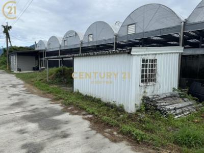 建華段, Taitung, Taitung County 950, Taiwán