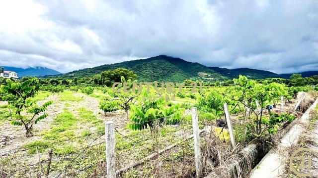 利家段, Beinan Township, Taitung County 954, Taiwan