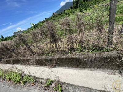 利家段, Beinan Township, Taitung County 954, Taiwan