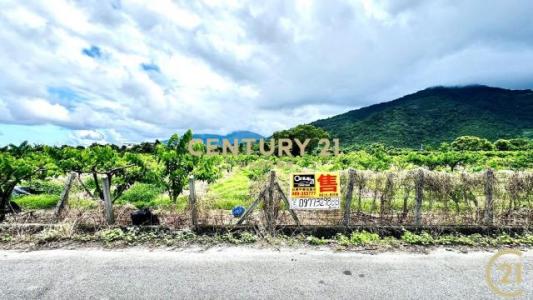 利家段, Beinan Township, Taitung County 954, Taiwan