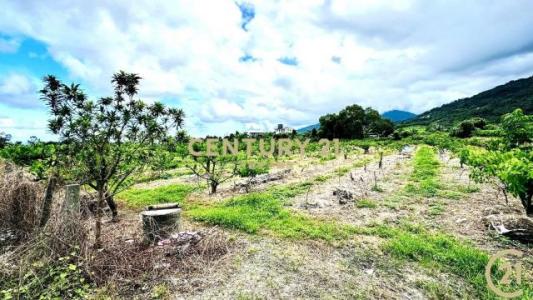 利家段, Beinan Township, Taitung County 954, Taiwan