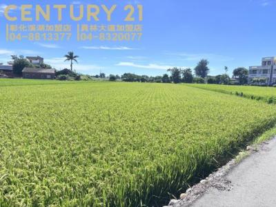 興糖段, Erlin Township, Changhua County 526, 台湾