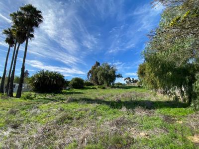 Hopefield, Western Cape, Güney Afrika