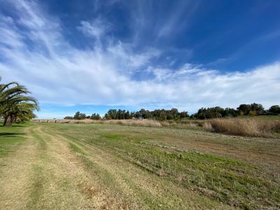 Hopefield, Western Cape, Güney Afrika