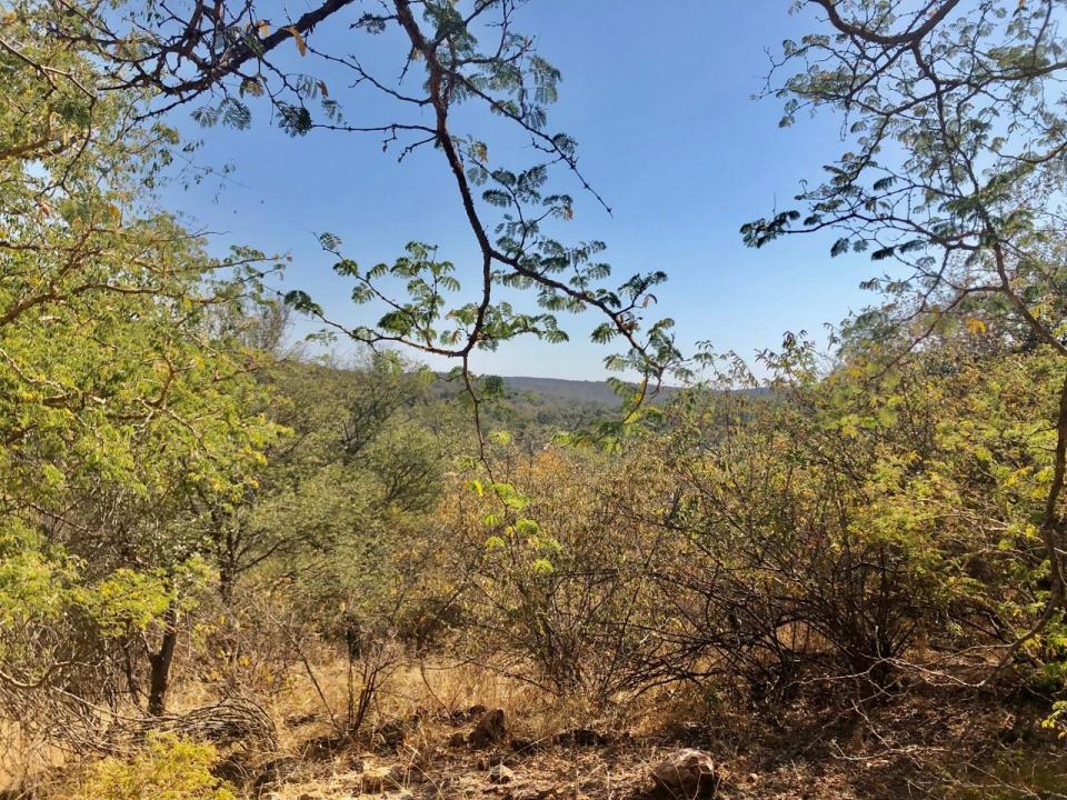 Hoedspruit, Limpopo, Sudáfrica