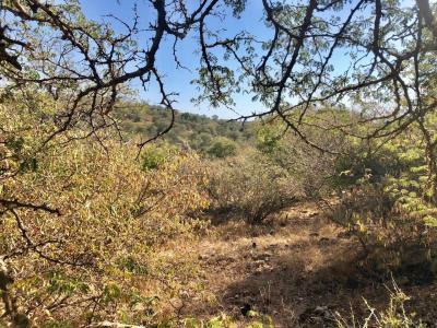 Hoedspruit, Limpopo, Sudáfrica