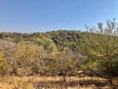 Hoedspruit, Limpopo, Sudáfrica