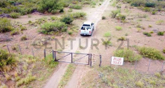 Ruta Provincial 153 km 124, Monte Comán, Mendoza 00001, Argentina