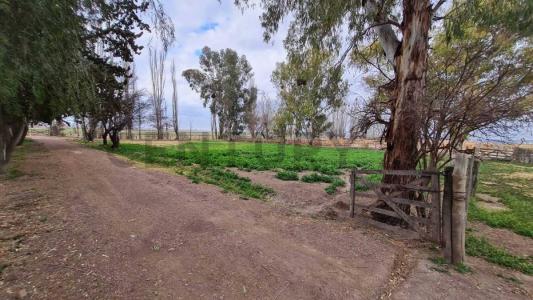 Luján De Cuyo, Mendoza 00001, Argentinien