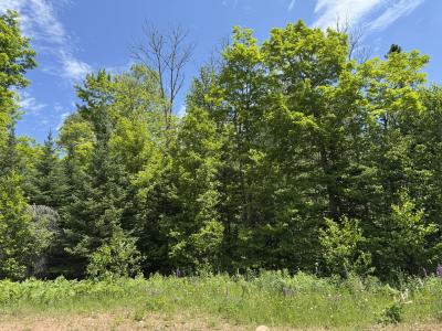 4330W Timberline Rd, Mercer, Wisconsin 54547
