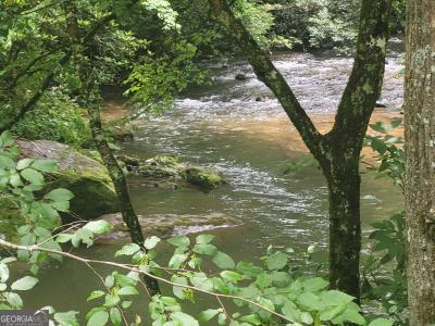 156 Tsali Trail, Cleveland, Geórgia 30528, Estados Unidos