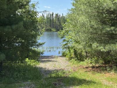 Lot 25 Creekside Ct, Mercer, Wisconsin 54547