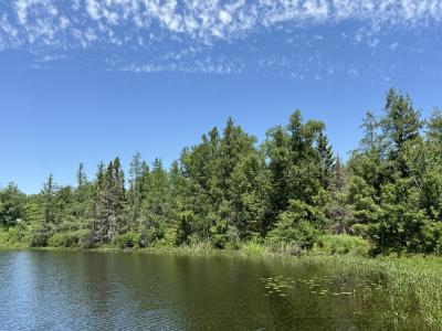 Lot 25 Creekside Ct, Mercer, Wisconsin 54547