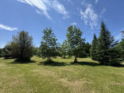 Lot 25 Creekside Ct, Mercer, Wisconsin 54547