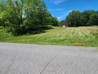 668 Hawkeye Rd, Gilbertsville, Kentucky 42044, Stati Uniti