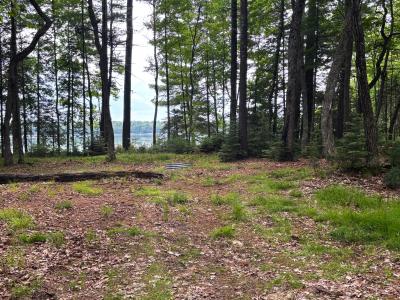 Lot 40-8350 Awassa Ln, St. Germain, Wisconsin 54558, USA