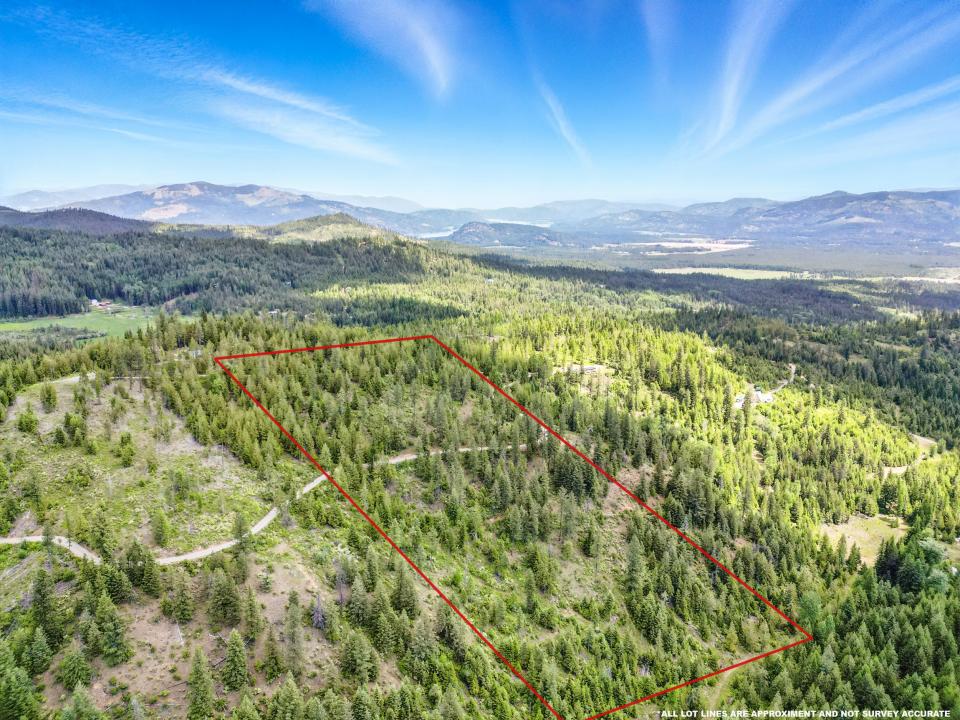 20 Acres Mystery Moose Lane, Priest River, Idaho 83856