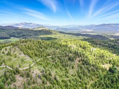 20 Acres Mystery Moose Lane, Priest River, Idaho 83856