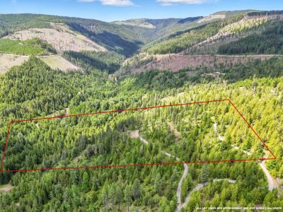 20 Acres Mystery Moose Lane, Priest River, Idaho 83856