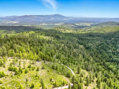 20 Acres Mystery Moose Lane, Priest River, Idaho 83856