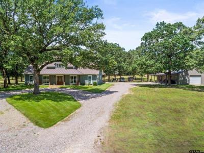 240 S FM 2869, Winnsboro, Texas 75494, USA