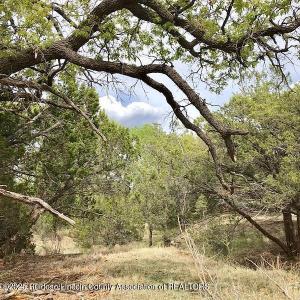 Lot 324 Rio Vista Bonita Drive, Alto, Novo México 88312, Estados Unidos