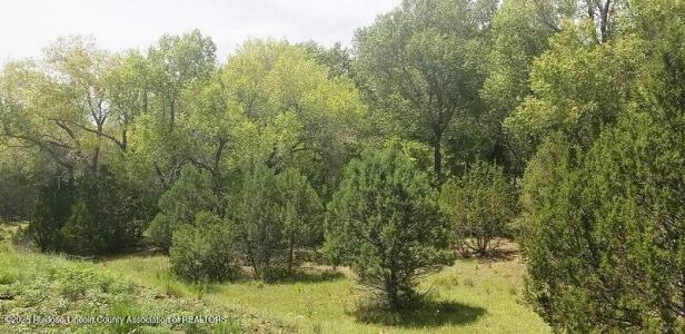 Lot 324 Rio Vista Bonita Drive, Alto, Novo México 88312, Estados Unidos
