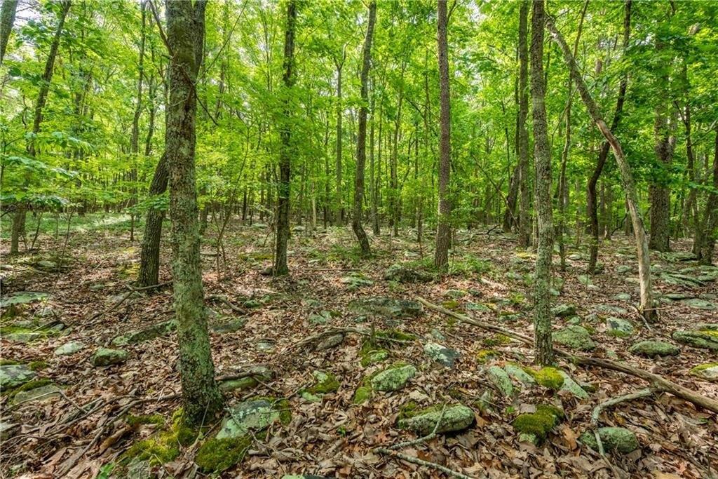 307 Stonehaven Court, Jasper, Georgia 30143, Estados Unidos