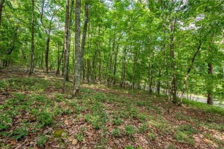 307 Stonehaven Court, Jasper, Georgia 30143, Estados Unidos