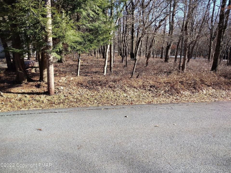 11 Cheilo Path, Pocono Lake, بنسلفانيا 18347, الولايات المتحدة