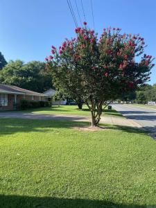 Conway, Arkansas 72034, USA