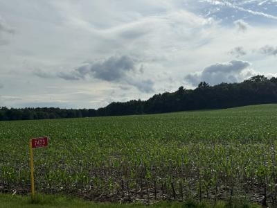 7473 Division Road, Tomah, Wisconsin 54660, États-Unis