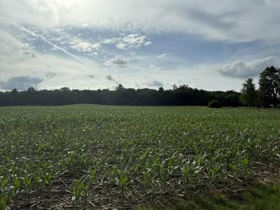 7473 Division Road, Tomah, Wisconsin 54660, États-Unis
