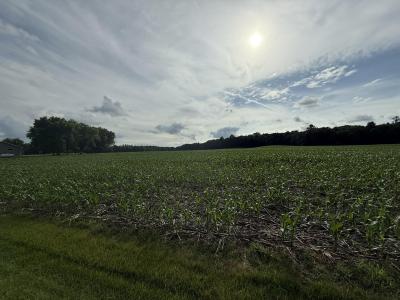 7473 Division Road, Tomah, Wisconsin 54660, États-Unis