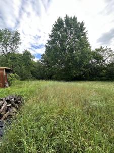 37277 County Road 653, Paw Paw, Michigan 49079, USA