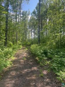 5186 Hermantown Rd, Hermantown, Minnesota 55811