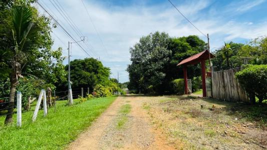 Ceiba Orotina, Alajuela 00001, 哥斯達尼加