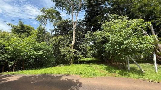Ceiba Orotina, Alajuela 00001, 哥斯達尼加
