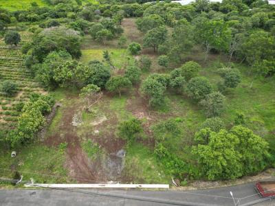 Fortuna San Carlos, Alajuela 21007, Costa Rica