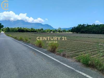 四維, Luye Township, Taitung County 955, Taiwan