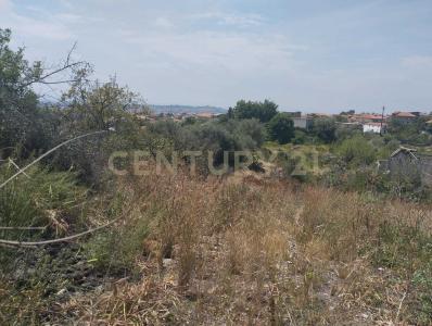 CONTRADA MANGIONE, Catania, Sicilia 95127, Italy