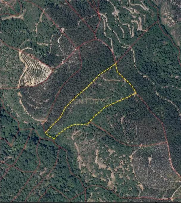 Monchique, فارو 8550-145, البرتغال