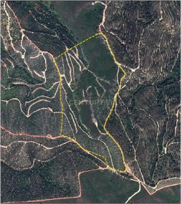 Monchique, فارو 8550, البرتغال