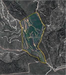 Monchique, فارو 8550, البرتغال