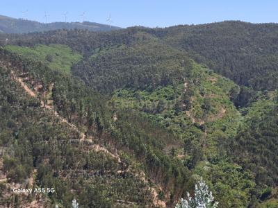 Monchique, فارو 8550, البرتغال