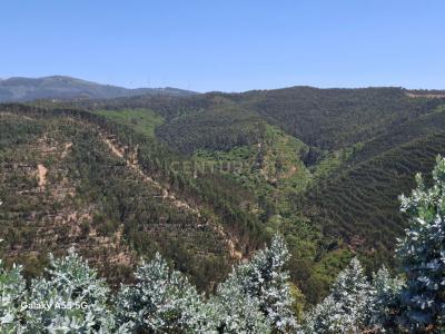 Monchique, فارو 8550, البرتغال