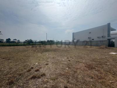 Isla, Etapa Estribor 1, Guayaquil, Guayas 00001, Ecuador