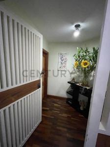 Buena Vista La Mirage, Caracas, Miranda 1071, Venezuela